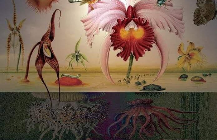 Istaknuta fotografija