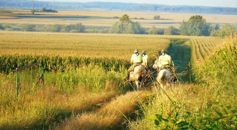 Istaknuta fotografija