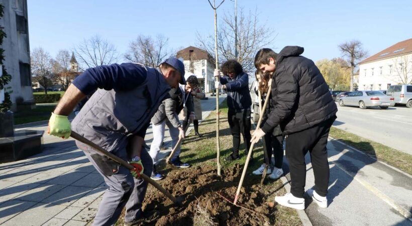 Istaknuta fotografija