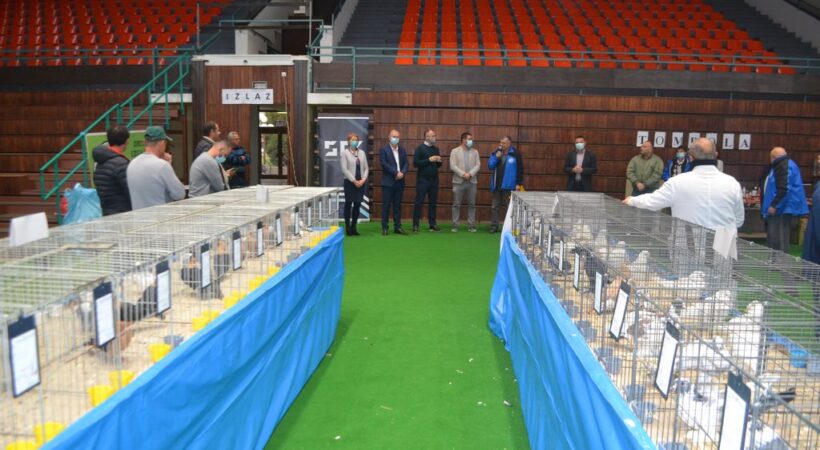 Istaknuta fotografija