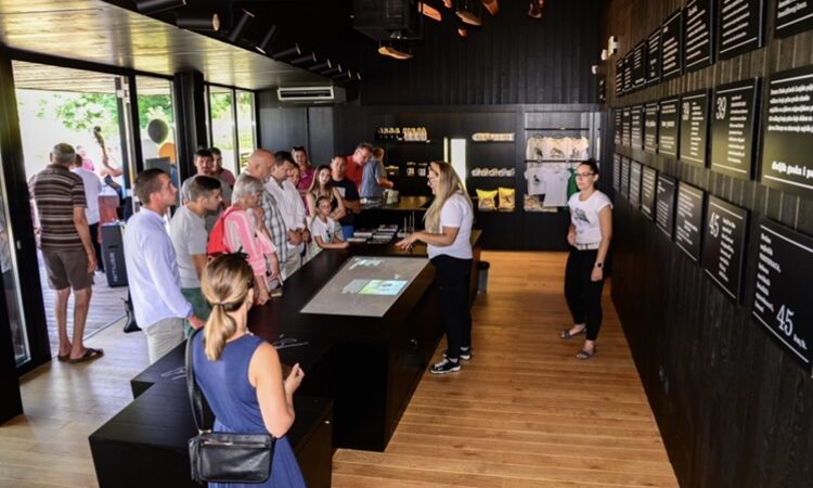 Istaknuta fotografija