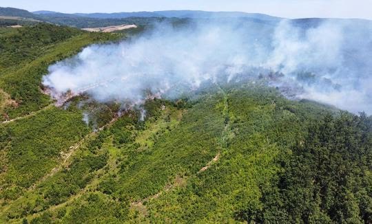 Istaknuta fotografija