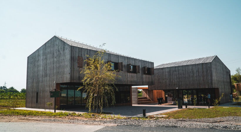 Istaknuta fotografija