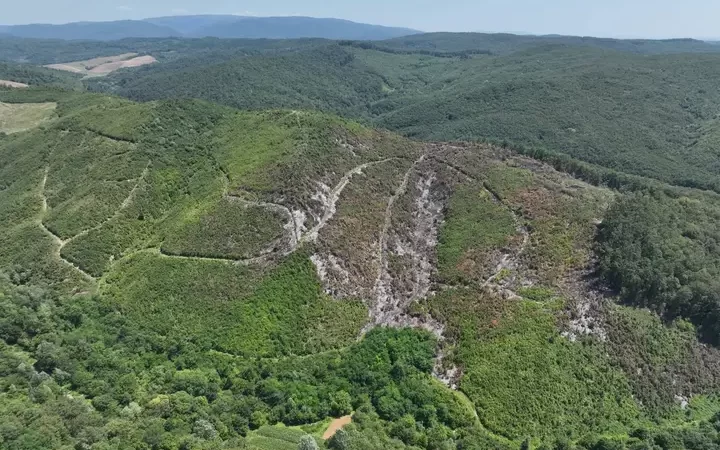 Istaknuta fotografija