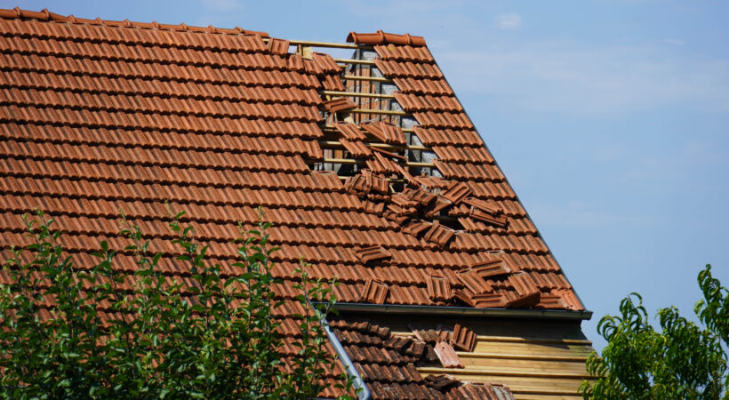 Istaknuta fotografija